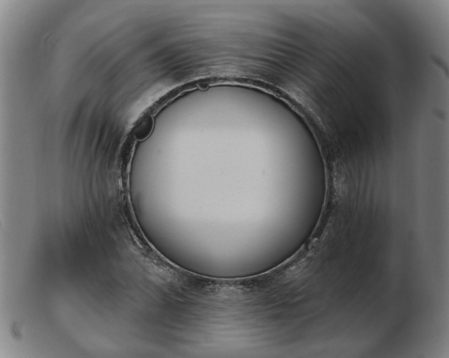 X0000103421070200809191632