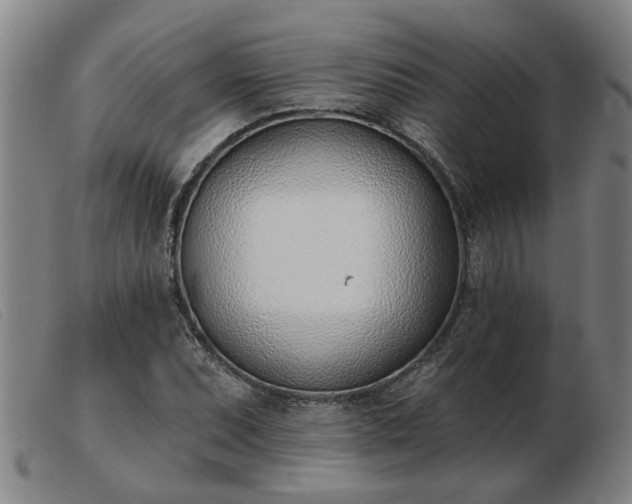 X0000103421071200809191632