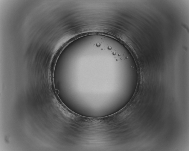 X0000103421072200809191632