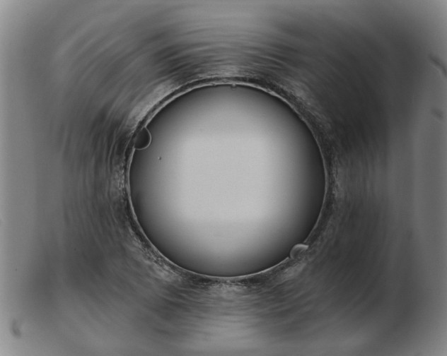 X0000103421073200809191632