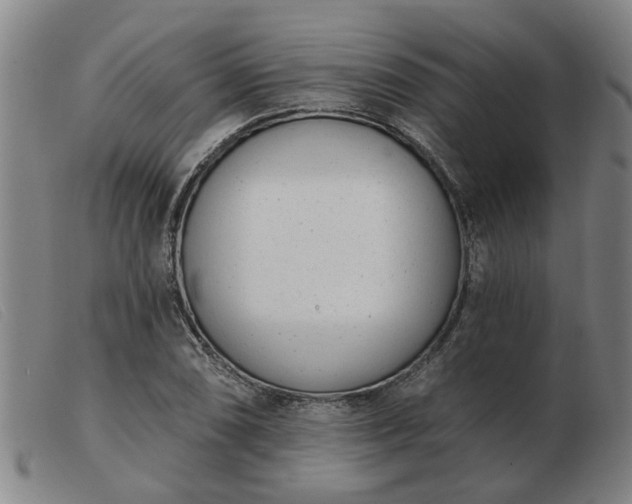 X0000103421074200809191632