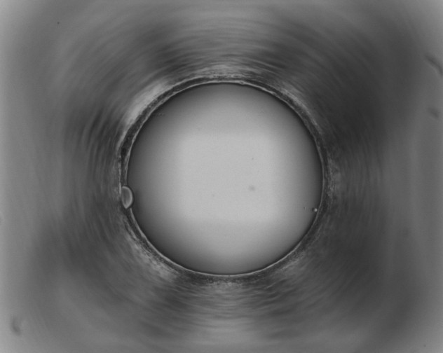 X0000103421075200809191632