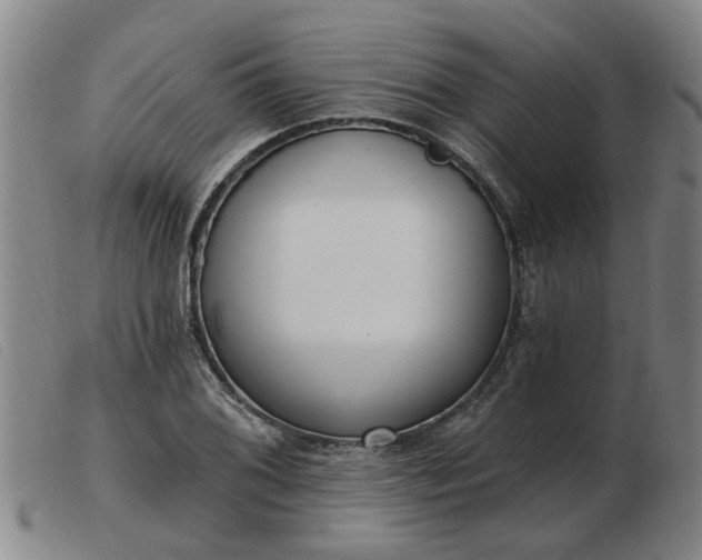 X0000103421076200809191632