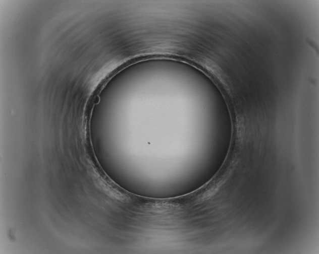 X0000103421077200809191632