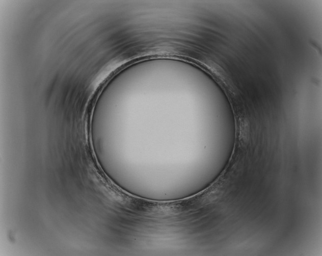 X0000103421078200809191632