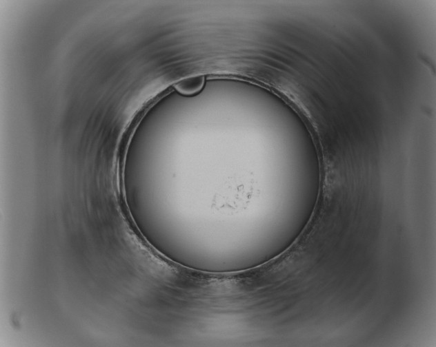 X0000103421080200809191632