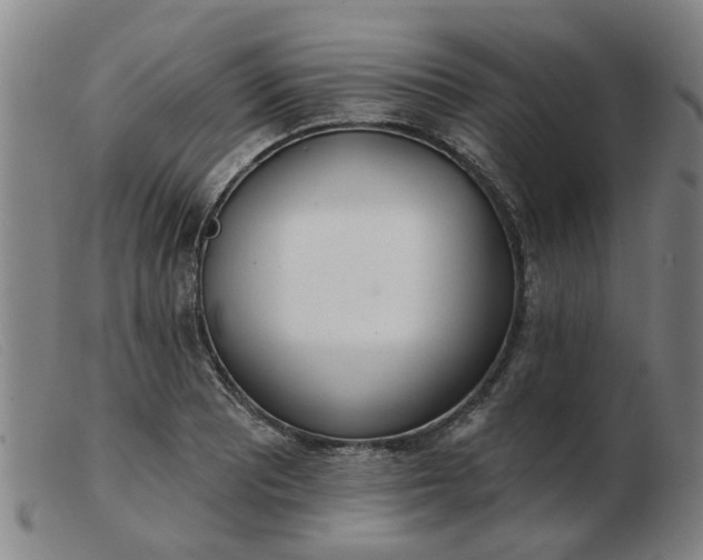 X0000103421081200809191632