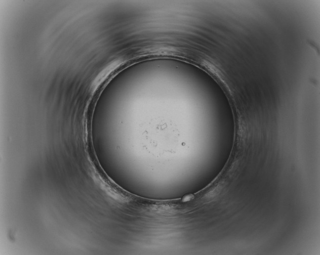 X0000103421082200809191632