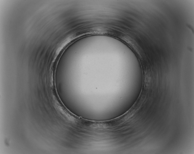 X0000103421083200809191632