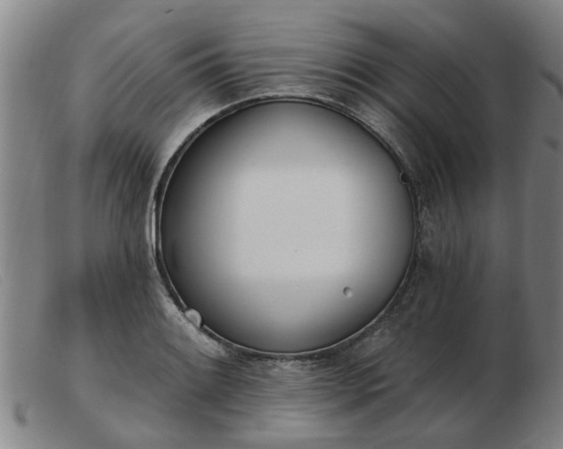 X0000103421084200809191632