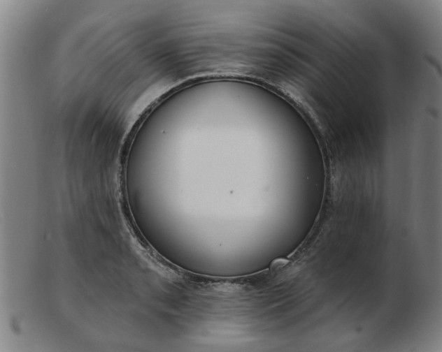 X0000103421085200809191632