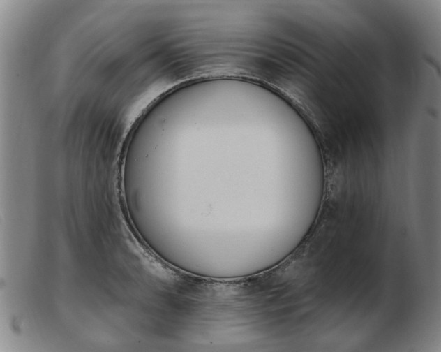 X0000103421086200809191632