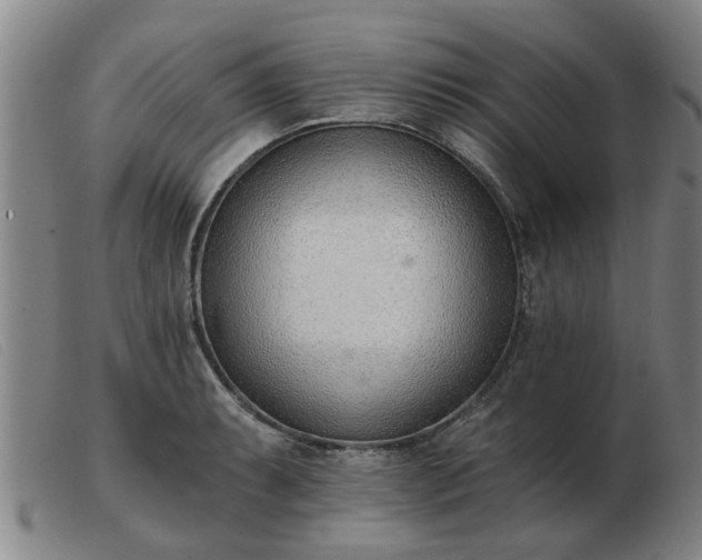 X0000103421087200809191632