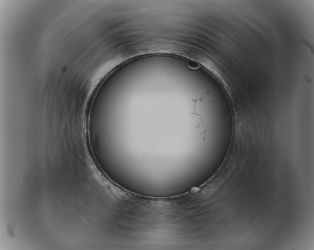 X0000103421088200809191632