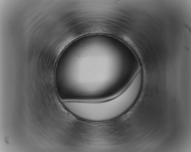 X0000103421089200809191632