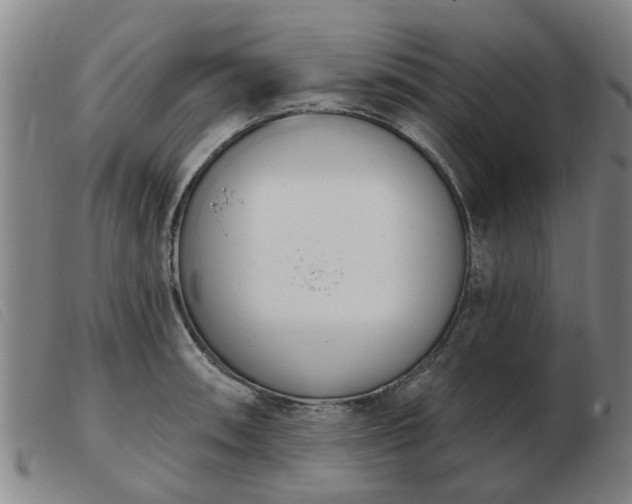 X0000103421090200809191632