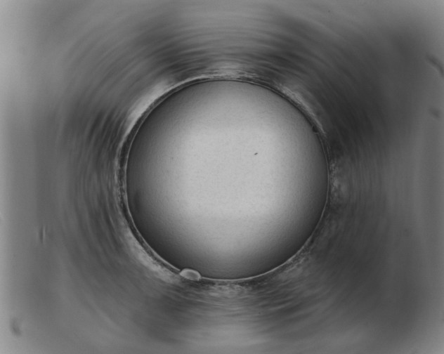 X0000103421091200809191632