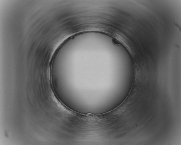 X0000103421092200809191632