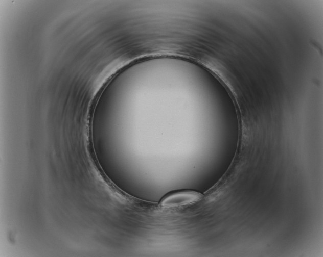 X0000103421093200809191632