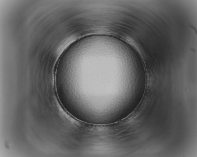 X0000103421095200809191632