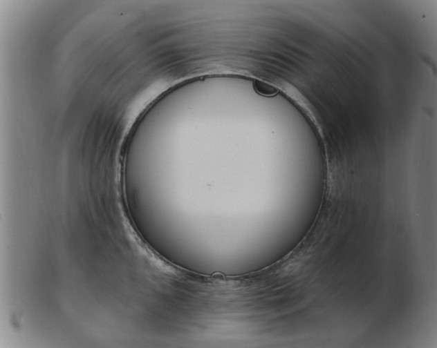 X0000103421096200809191632