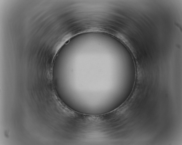 X0000103421097200809191632