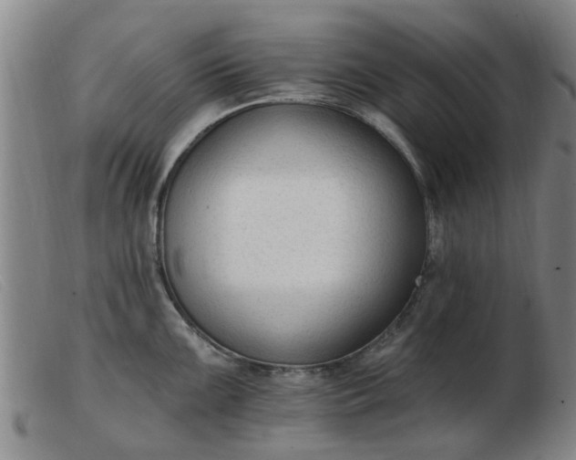 X0000103421099200809191632