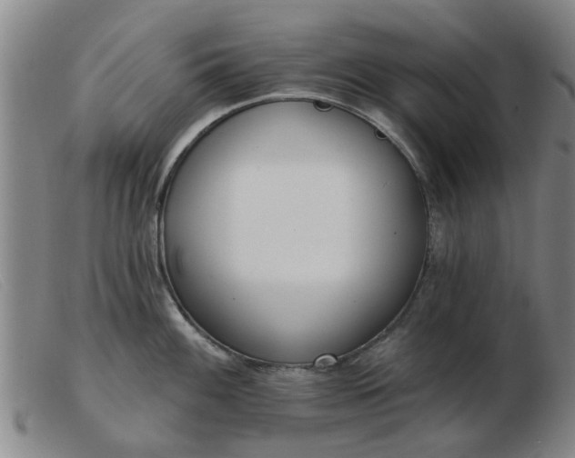 X0000103421100200809191631