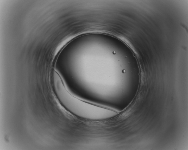 X0000103421101200809191631
