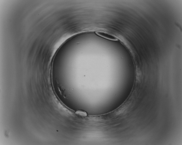 X0000103421102200809191631