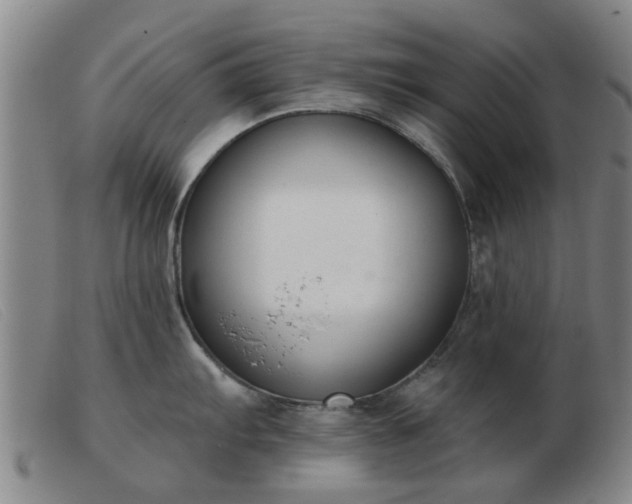 X0000103421103200809191631