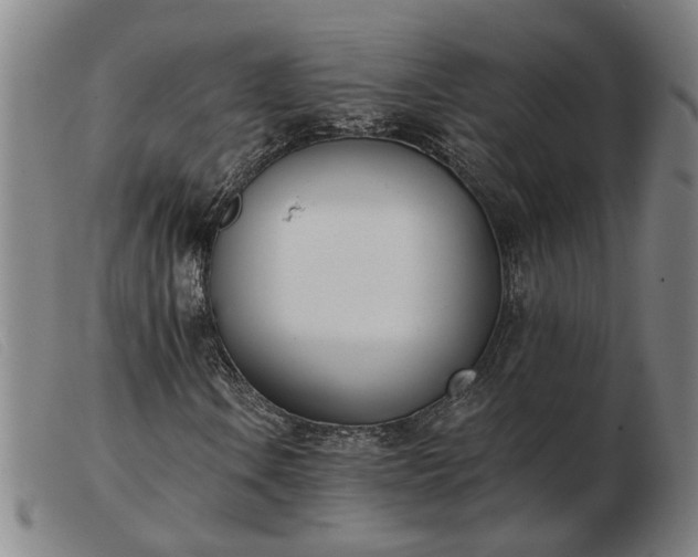 X0000103421106200809191631