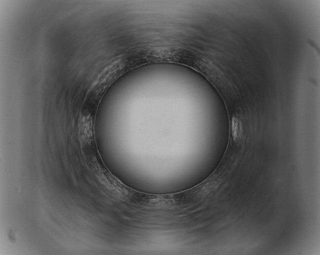 X0000103421107200809191631