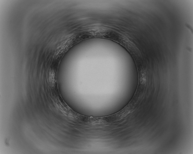 X0000103421108200809191631