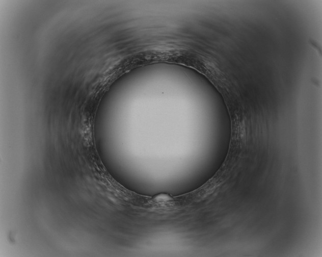 X0000103421109200809191631