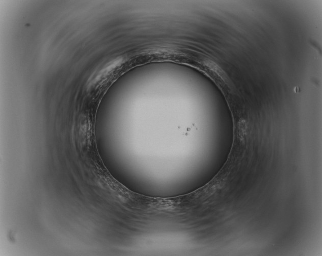 X0000103421111200809191631