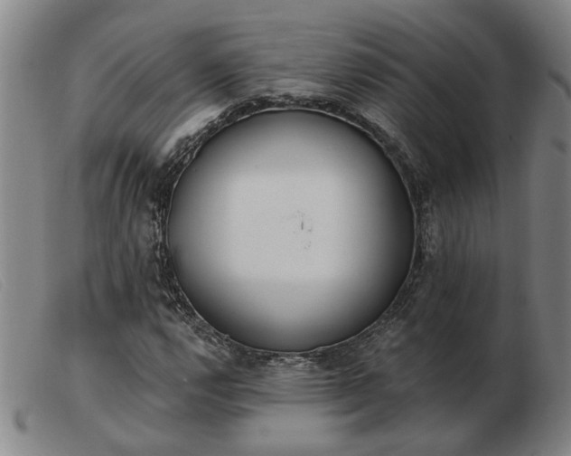 X0000103421112200809191631