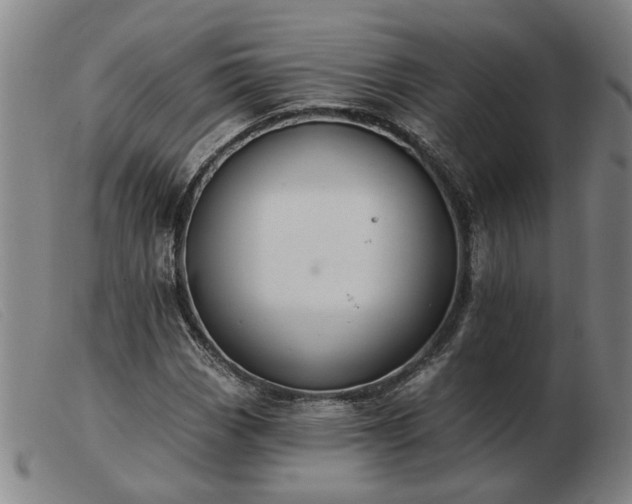 X0000103421113200809191631