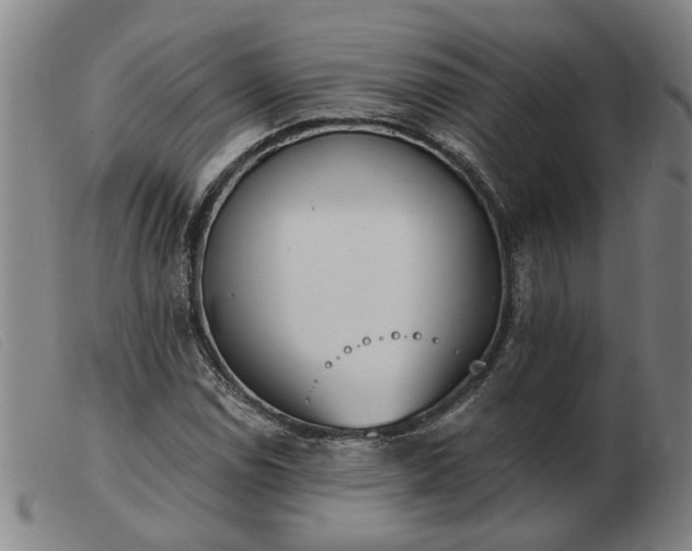 X0000103421114200809191631