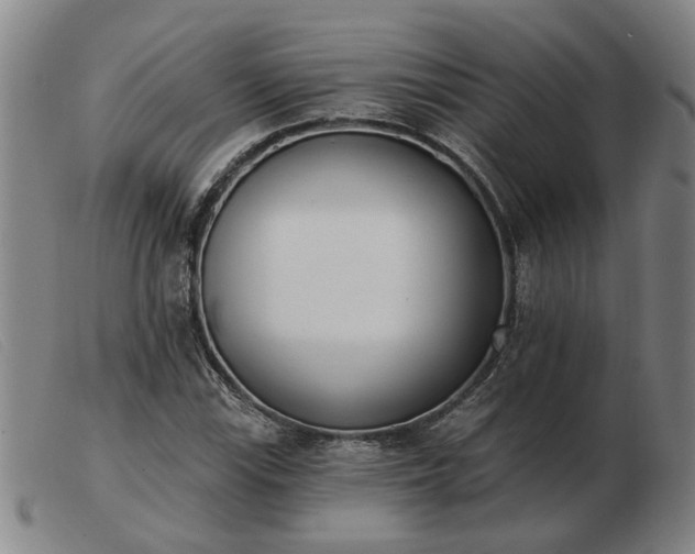 X0000103421115200809191631