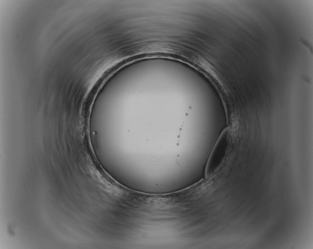 X0000103421116200809191631