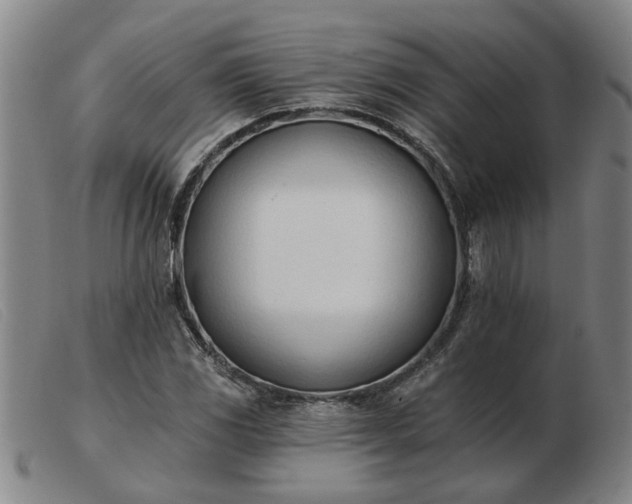 X0000103421117200809191631