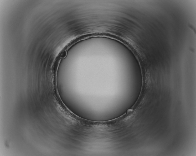 X0000103421118200809191631