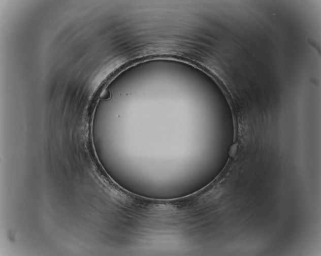 X0000103421119200809191631