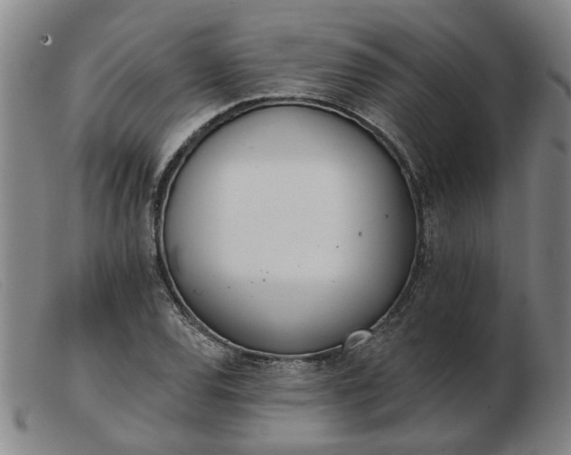 X0000103421120200809191631