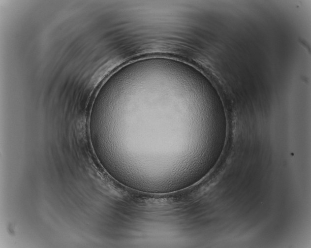 X0000103421121200809191631