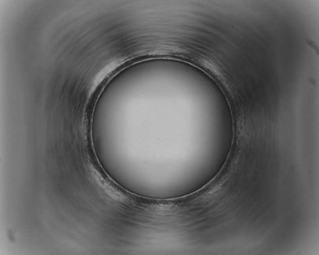 X0000103421122200809191631