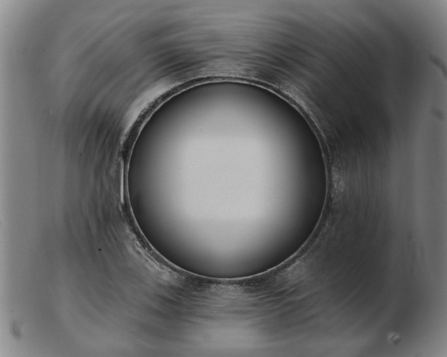 X0000103421123200809191631