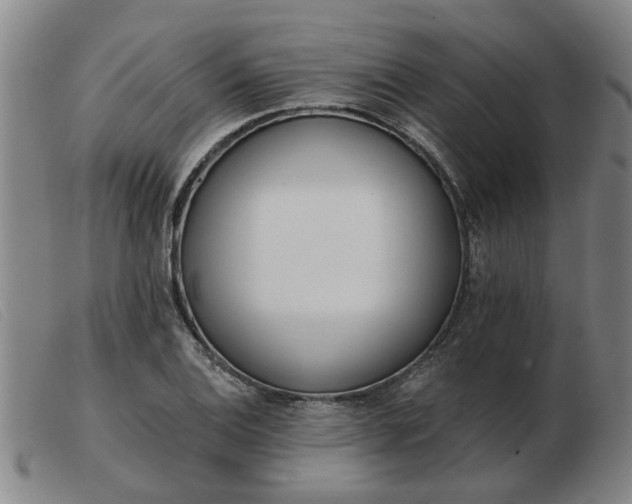 X0000103421124200809191631