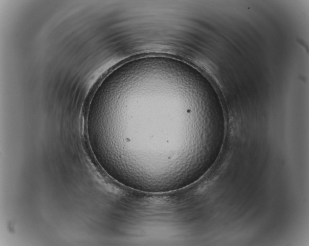 X0000103421125200809191631
